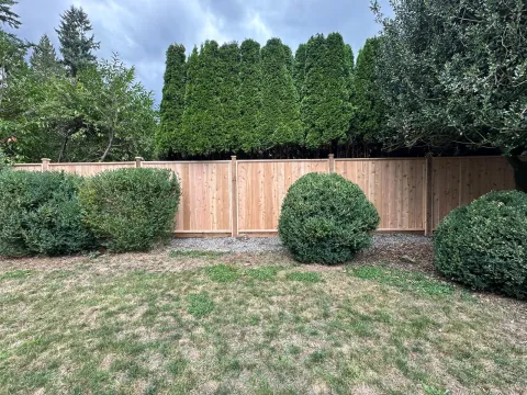 Cedar privacy fence behind shrubs and a cedar hedge